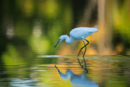 �1759694 �������(a): ����������:5120x3413